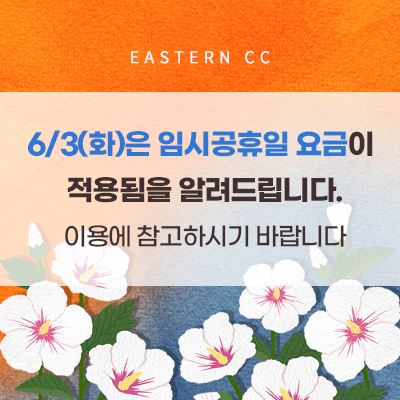 6월임시공휴일안내