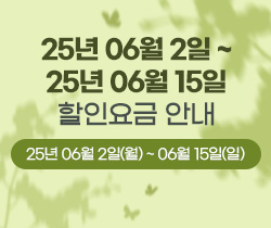 할인요금